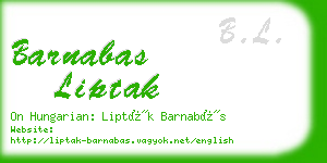 barnabas liptak business card